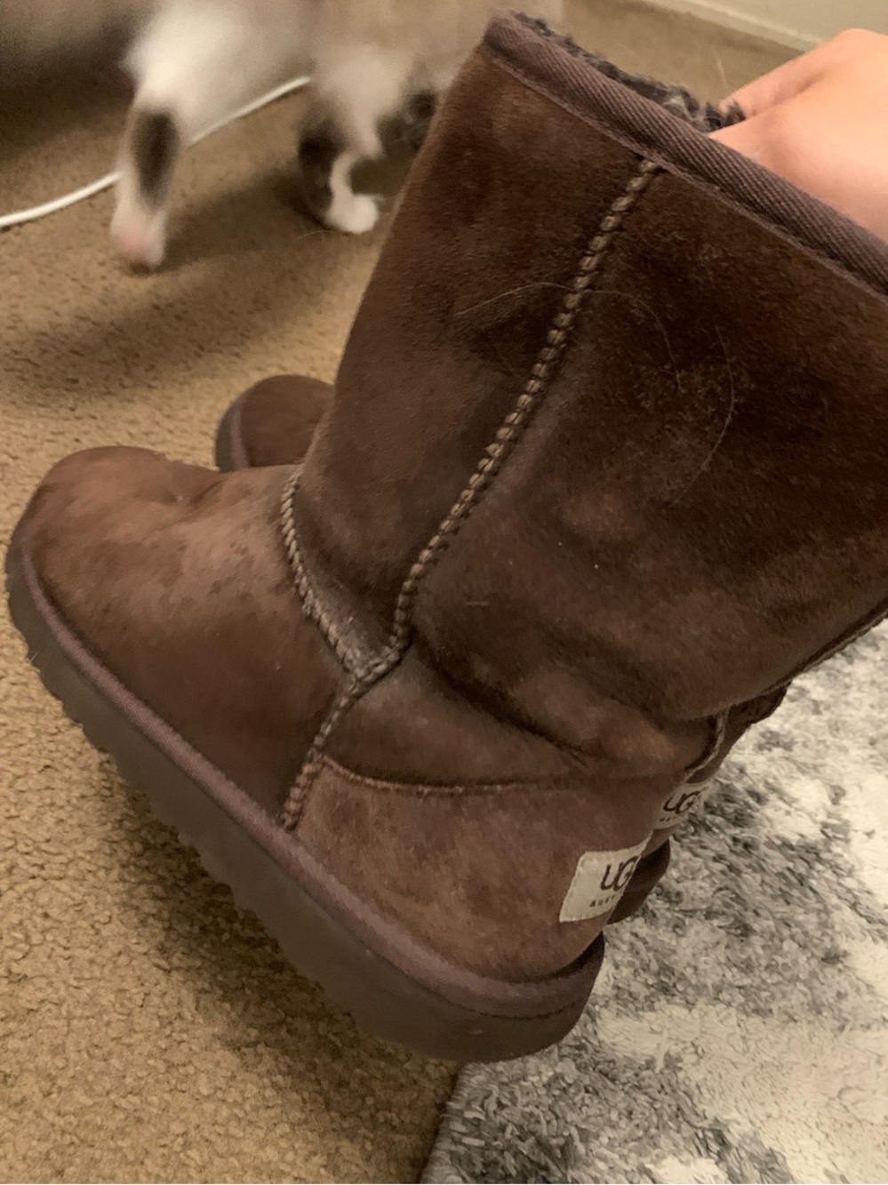 UGG Short Sheepskin Boot in Brown